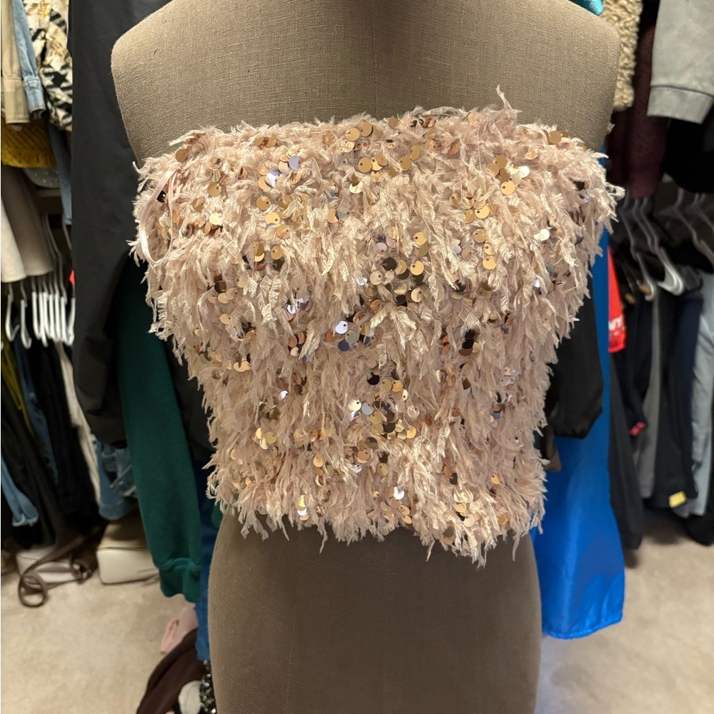 Zara Beige Sequin Strapless Top